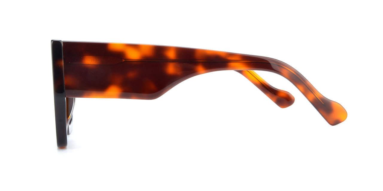Women Urban Sunglasses: Nashville - Tort - SpecSMART Eye Clinic (Side View)