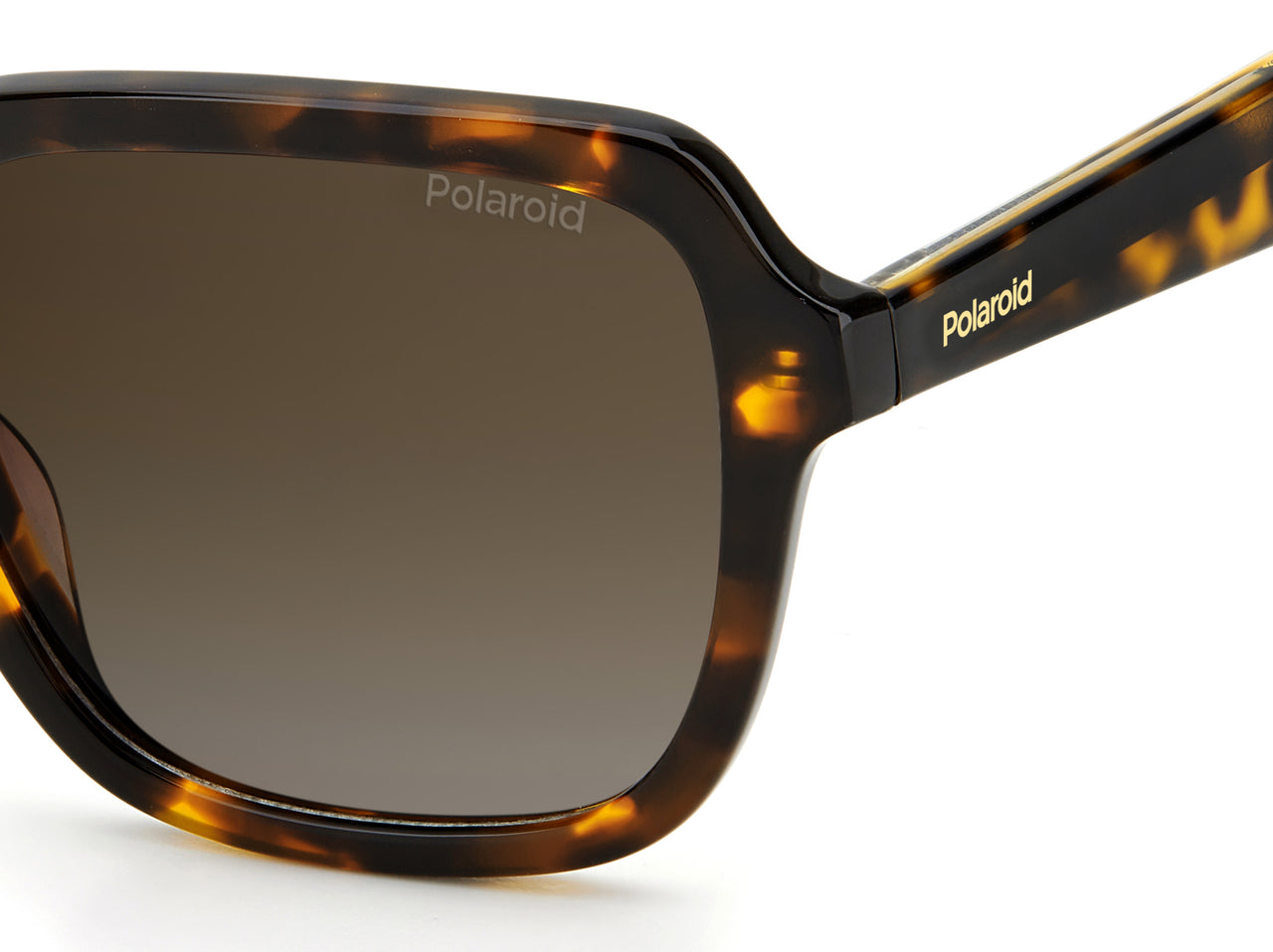Women Polaroid Sunglasses: PLD 4095/S/X - Havana - SpecSMART Eye Clinic (Zoom View)