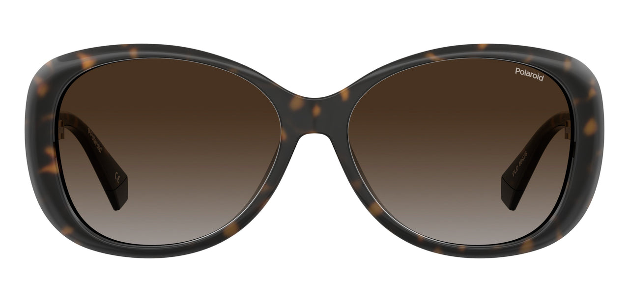 Women Polaroid Sunglasses: PLD 4097/S - Havana - SpecSMART Eye Clinic (Front View)