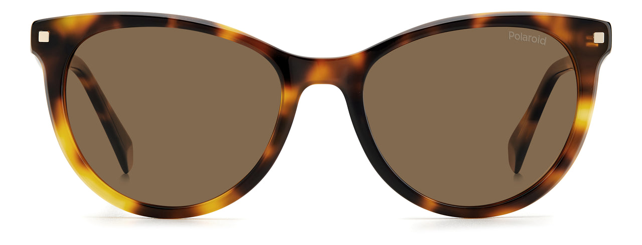 Women Polaroid Sunglasses: PLD 4111/S/X - Havana - SpecSMART Eye Clinic (Front View)