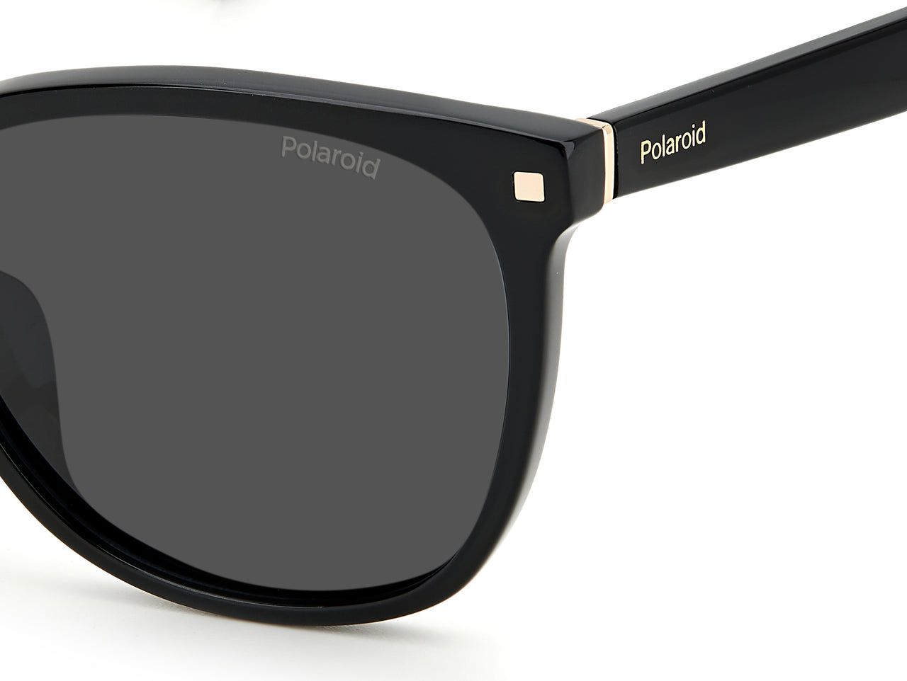 Women Polaroid Sunglasses: PLD 4113/F/S/X - Black - SpecSMART Eye Clinic (Zoom View)