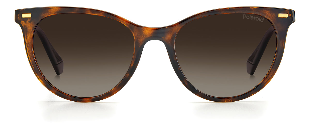 Women Polaroid Sunglasses: PLD 4107/S - Havana - SpecSMART Eye Clinic (Front View)