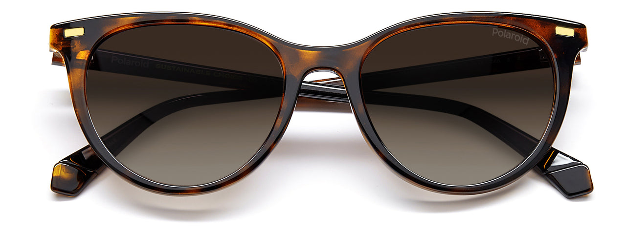 Women Polaroid Sunglasses: PLD 4107/S - Havana(2) - SpecSMART Eye Clinic (Front View)