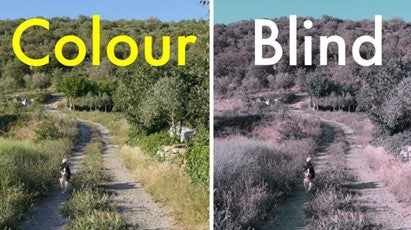 Differentiation between color and blind| SpecSMART Eye Clinic Ikoyi