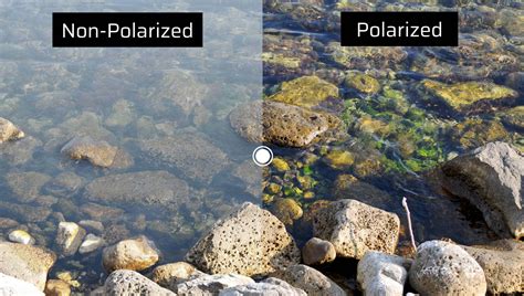 Polarized vs Non-Polarized Sunglasses | SpecSMART Eye Clinic Ikeja