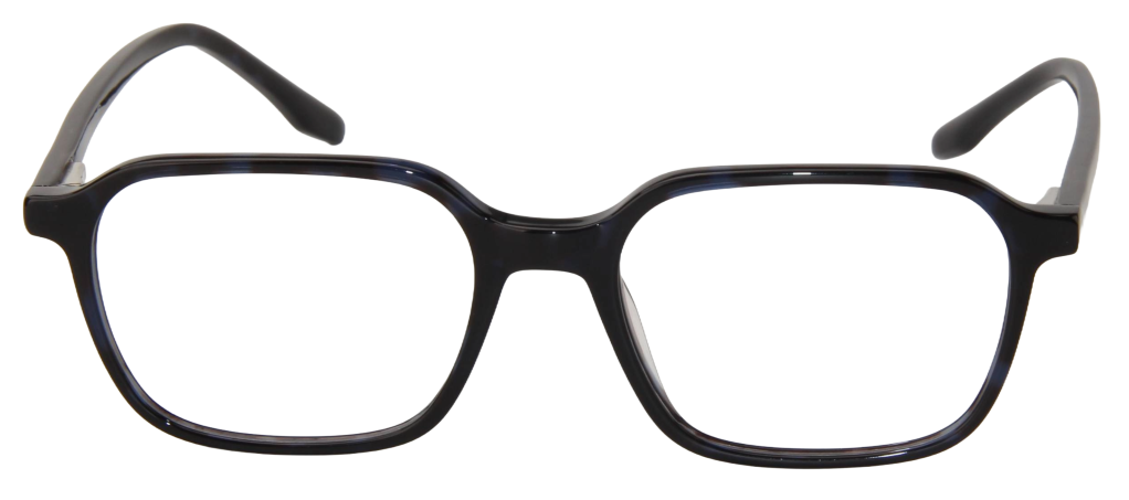 Men Access Eyeglasses: Roland - Black - SpecSMART Eye Clinic (Front View)