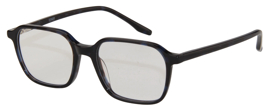 Men Access Eyeglasses: Roland - Black - SpecSMART Eye Clinic (Diagonal View)