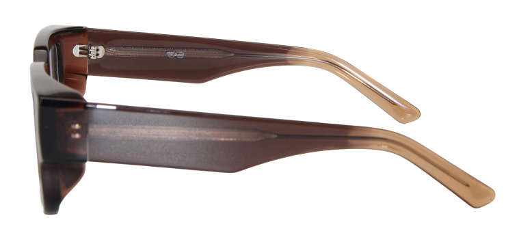 Men Vista Eyeglasses: Lawrence - Brown - SpecSMART Eye Clinic (Side View)