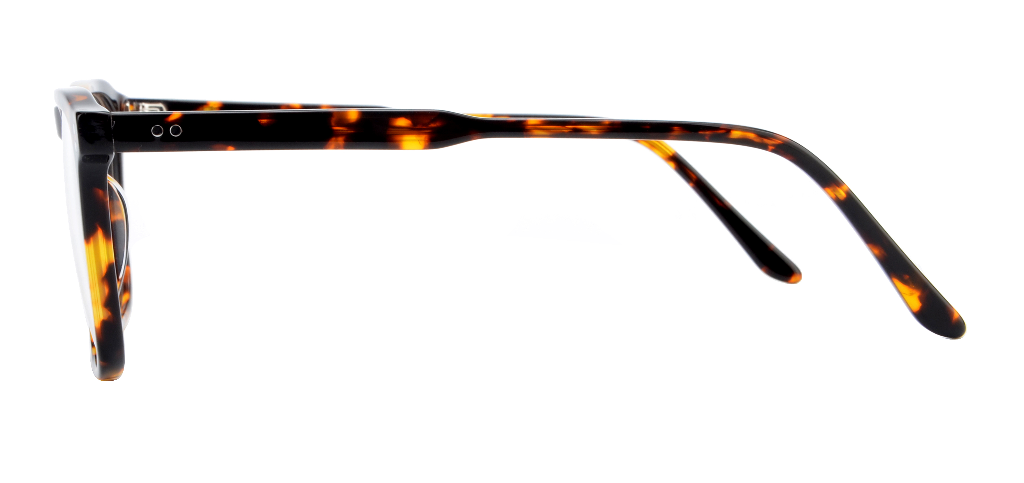 Men Cristal : Stevie -  Tortoise SpaceSMART eye clinic Side View