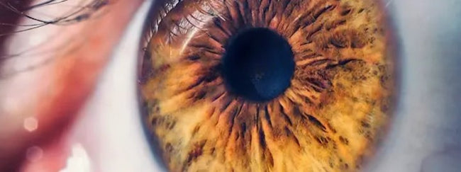 specsmart, specsmart eye clinic, specsmart-eye-clinic