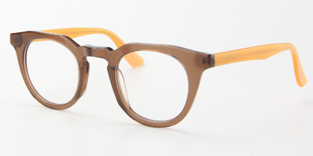 Men Insignia Eyeglasses: Rafu - Brown - SpecSMART Eye Clinic (Diagonal View)