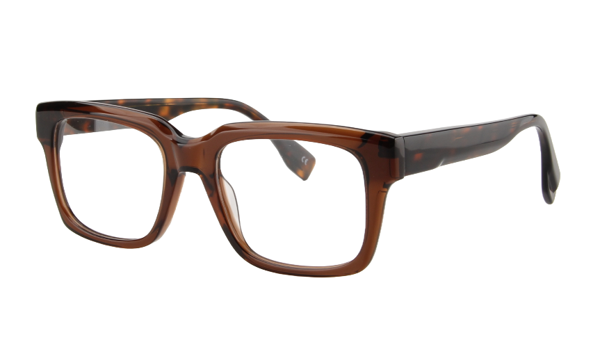 Men Vista: Ridley - Transparent Brown/Tortoise SpaceSMART eye clinic Front View