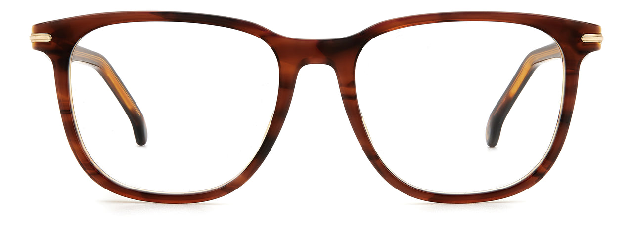 Carrera : Carrera 308 - Brown