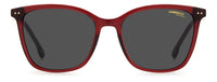 Thumbnail for Carrera : Carrera 2036T/S - Burgundy