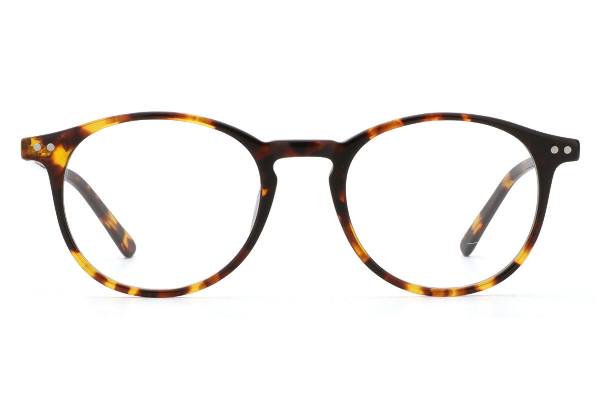 Men Insignia Eyeglasses: Dawson -Demi - SpecSMART Eye Clinic (Front View)