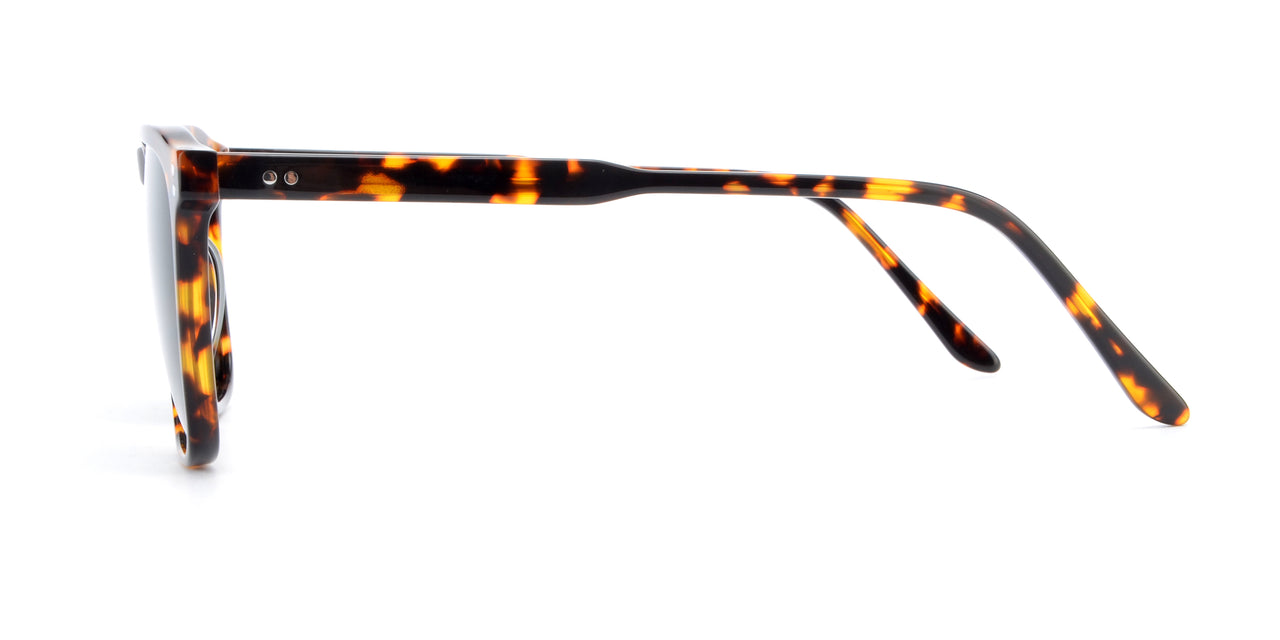 Men Insignia Sunglasses: Sinai - Tort - SpecSMART Eye Clinic (Side View)